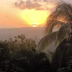 Martinique La Petite Maison Dans La Colline Le Lamentin